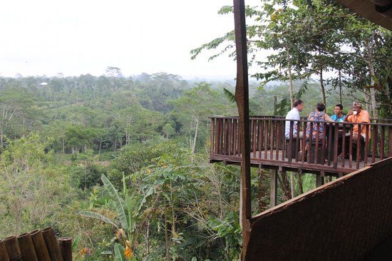 Manik Abian Bali Agriculture